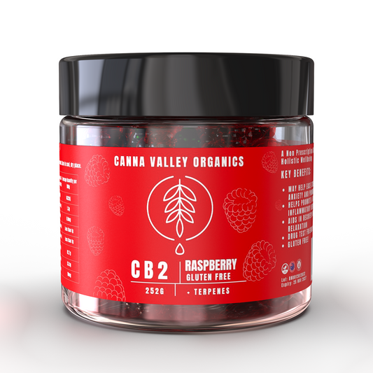 CB2 Gluten-free  Raspberry