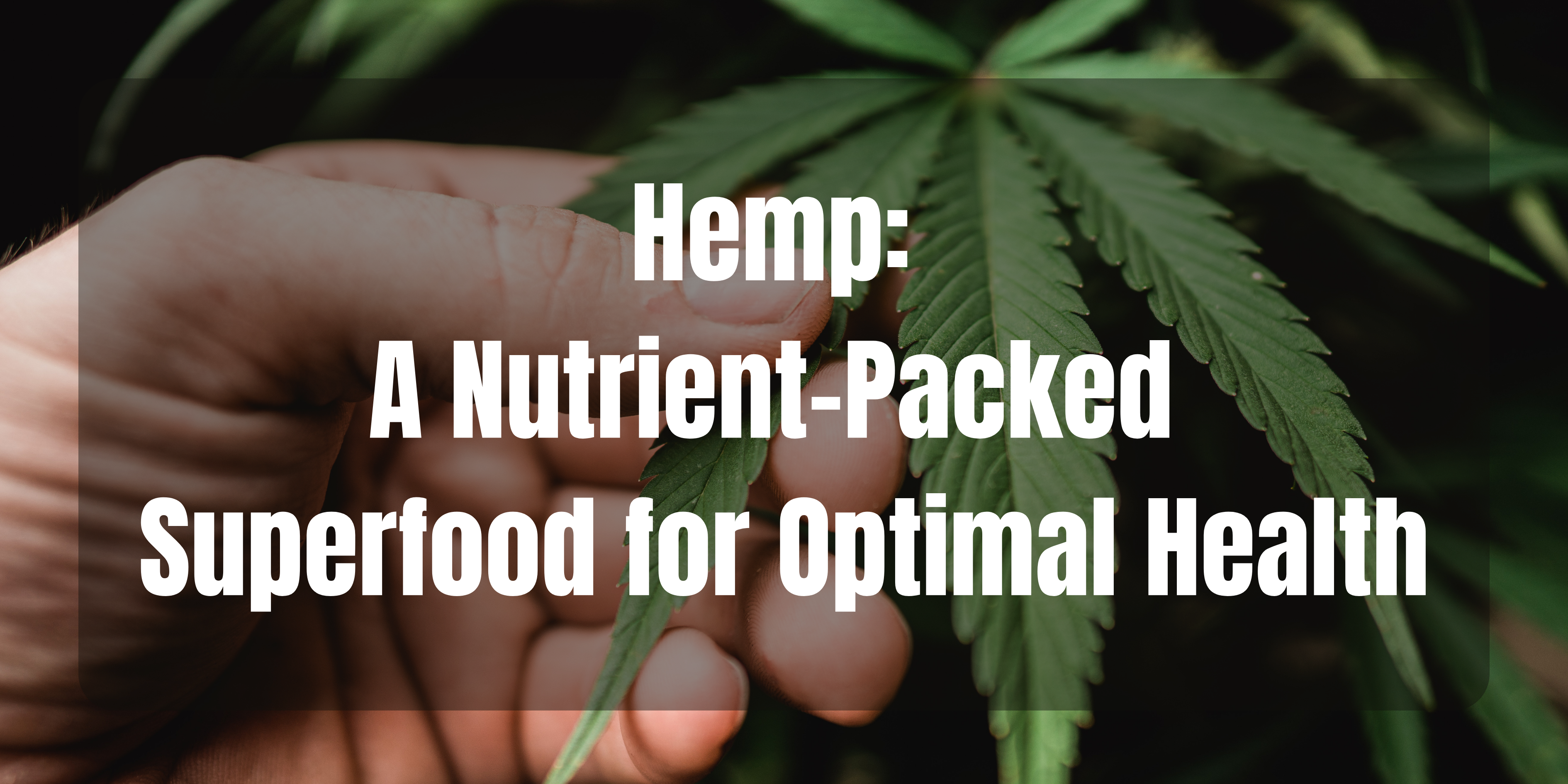 Hemp: A Nutrient-Packed Superfood for Optimal Health