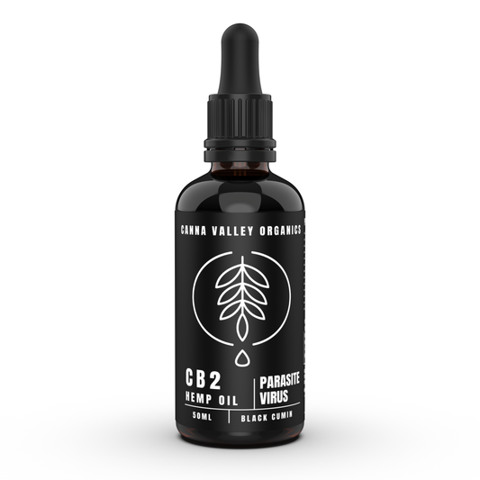 BLACK CUMIN